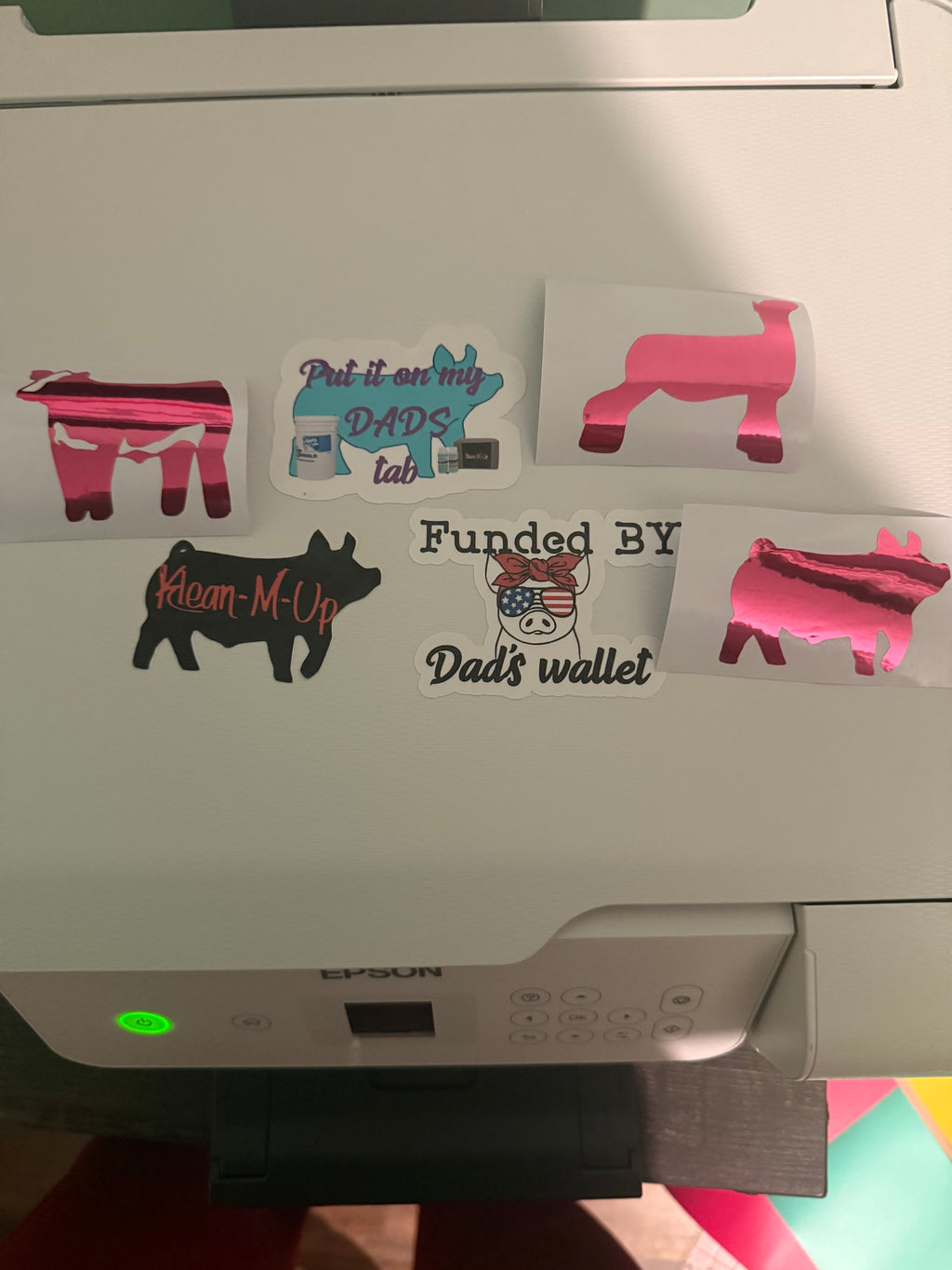 Random Assorted sticker pack