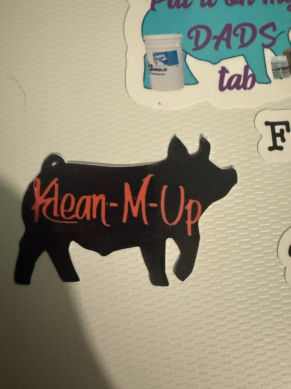 Random Assorted sticker pack