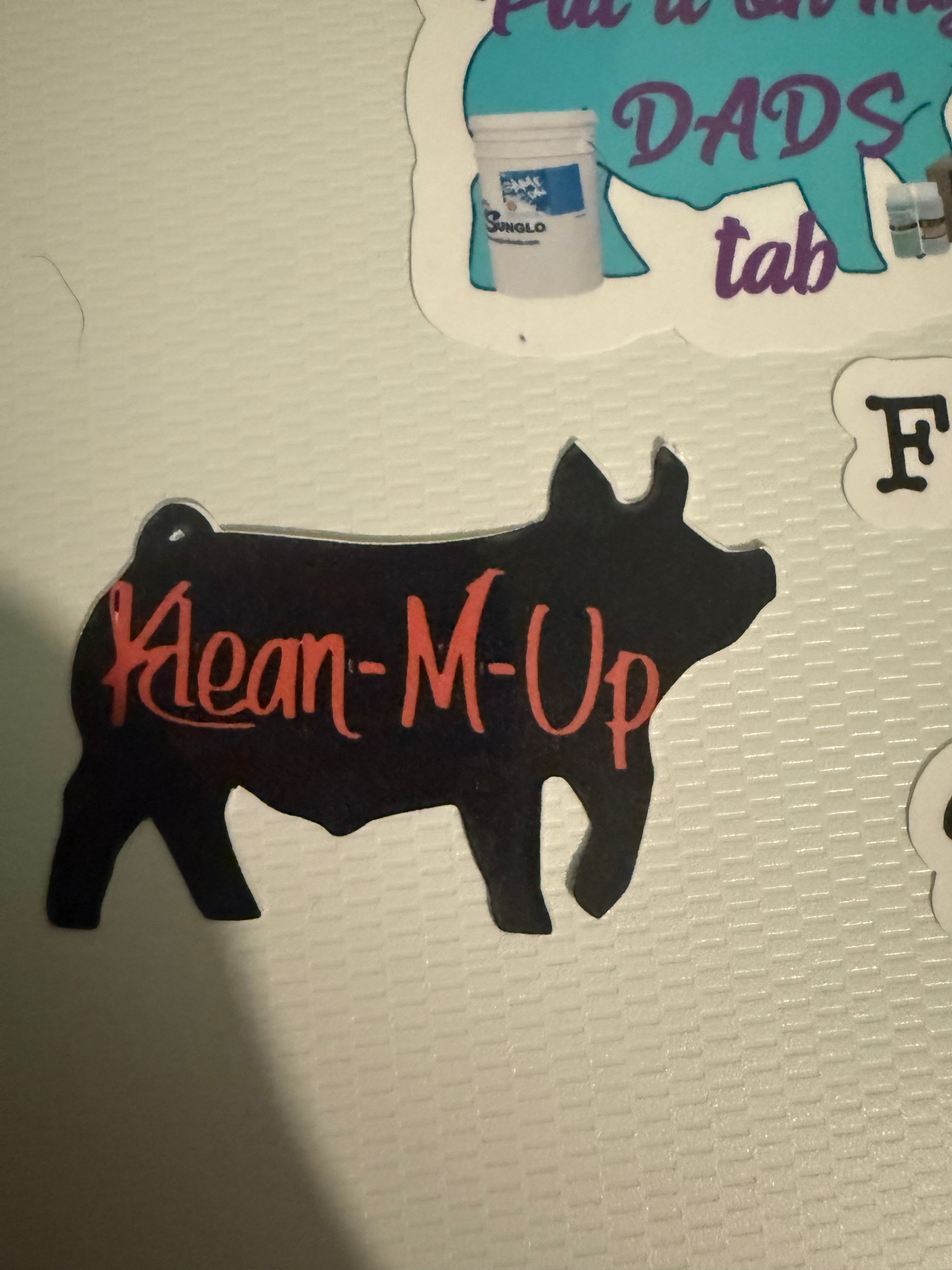 Random Assorted sticker pack