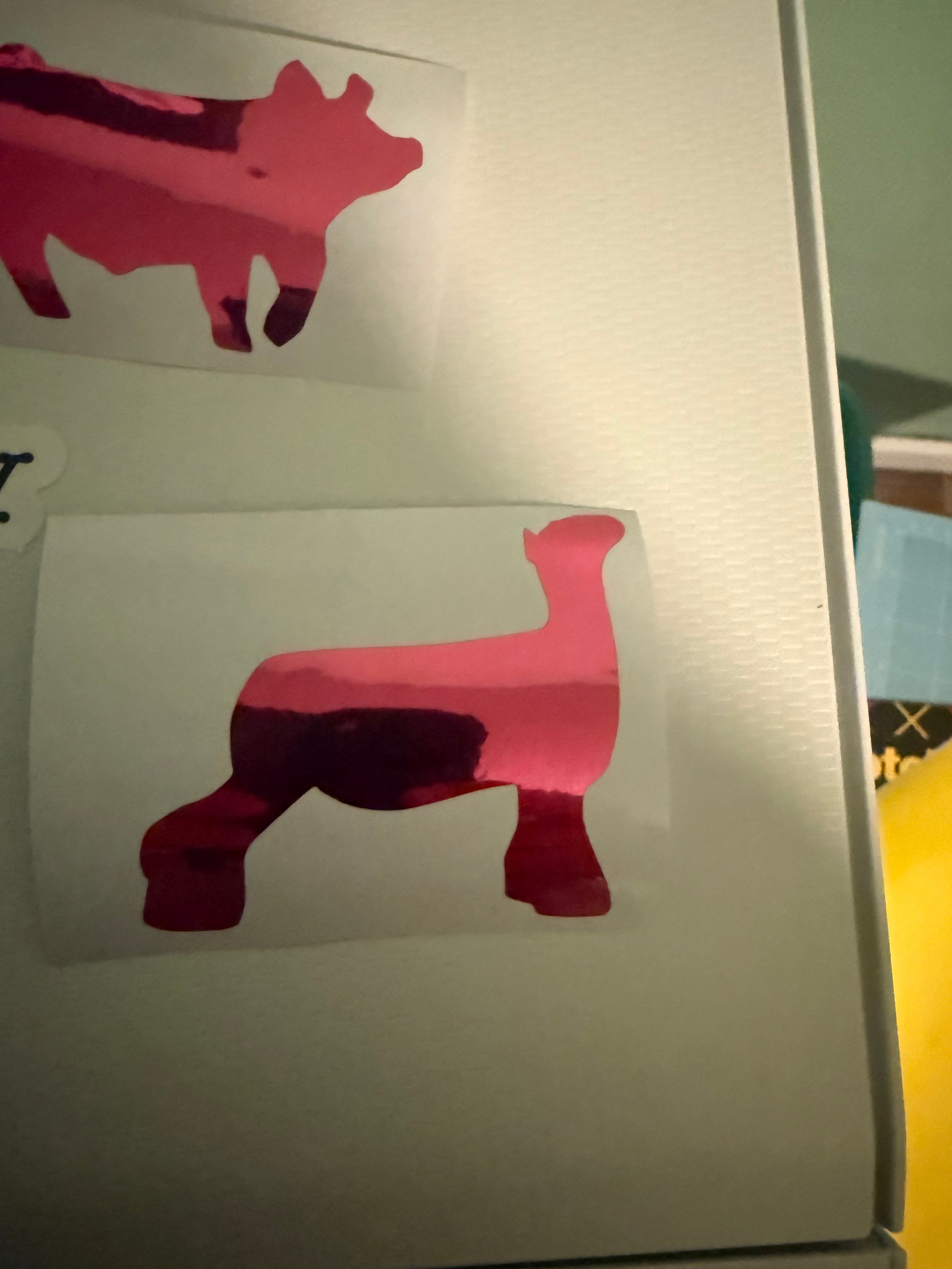 Random Assorted sticker pack