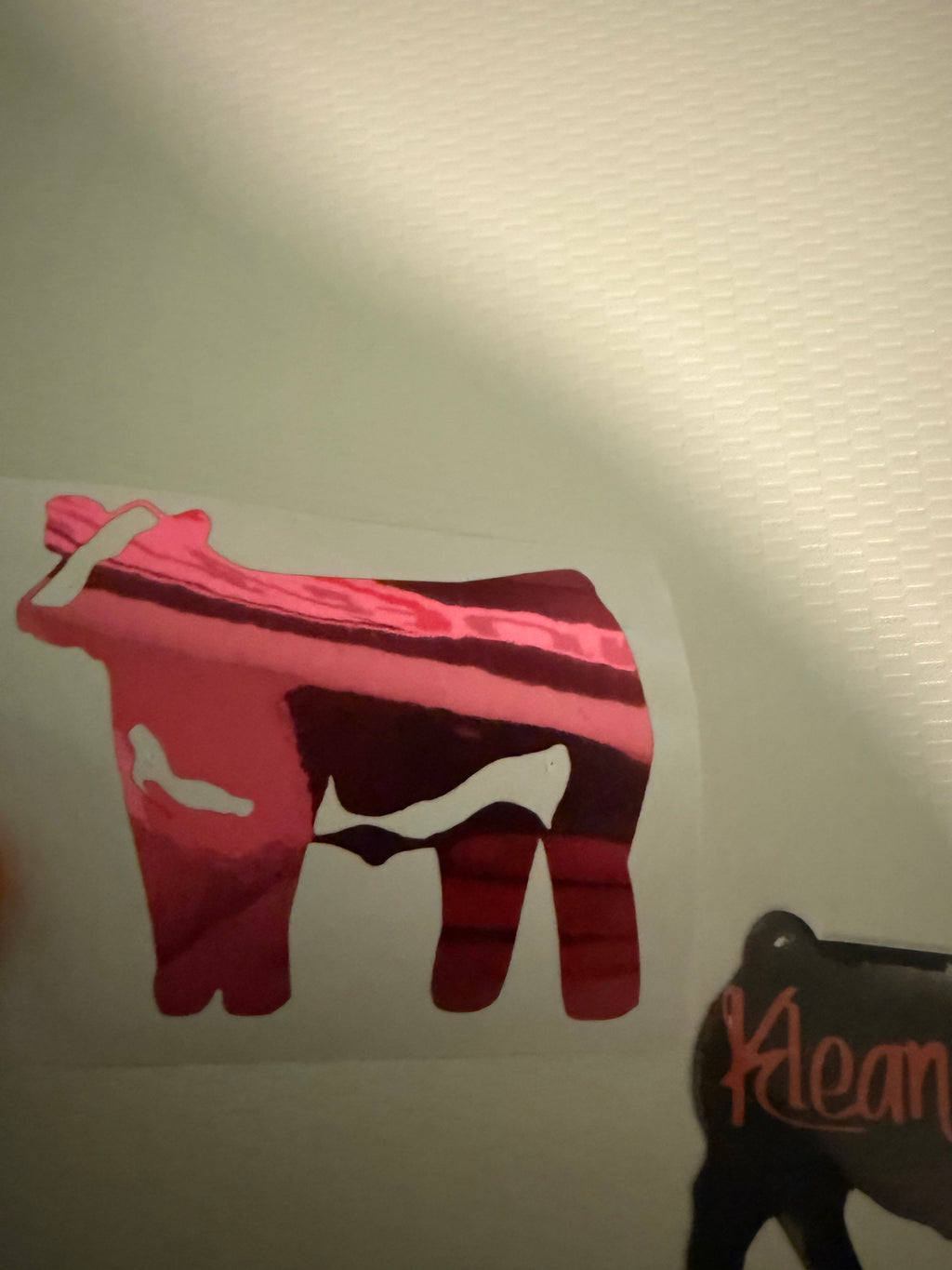 Random Assorted sticker pack