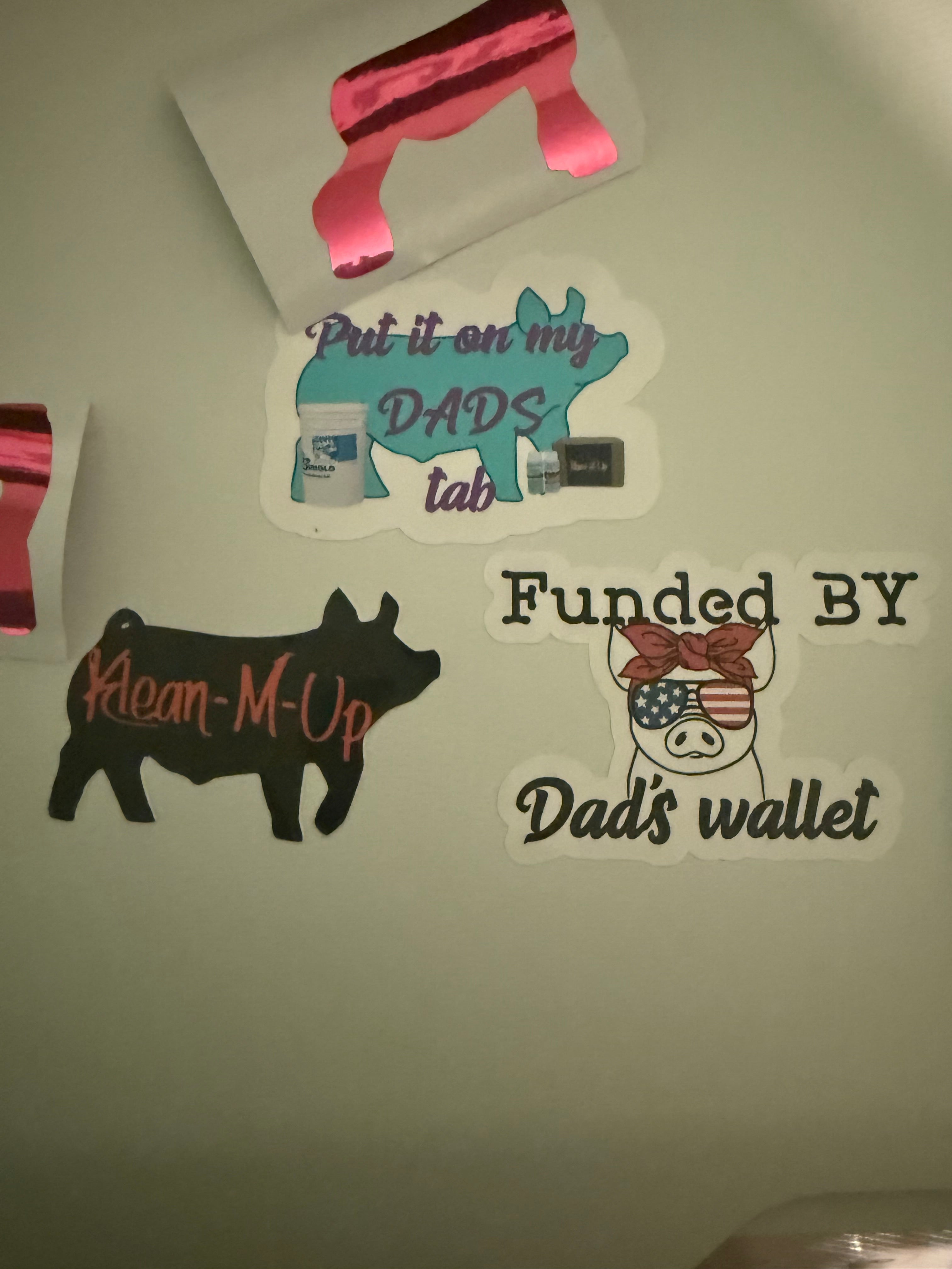 Random Assorted sticker pack