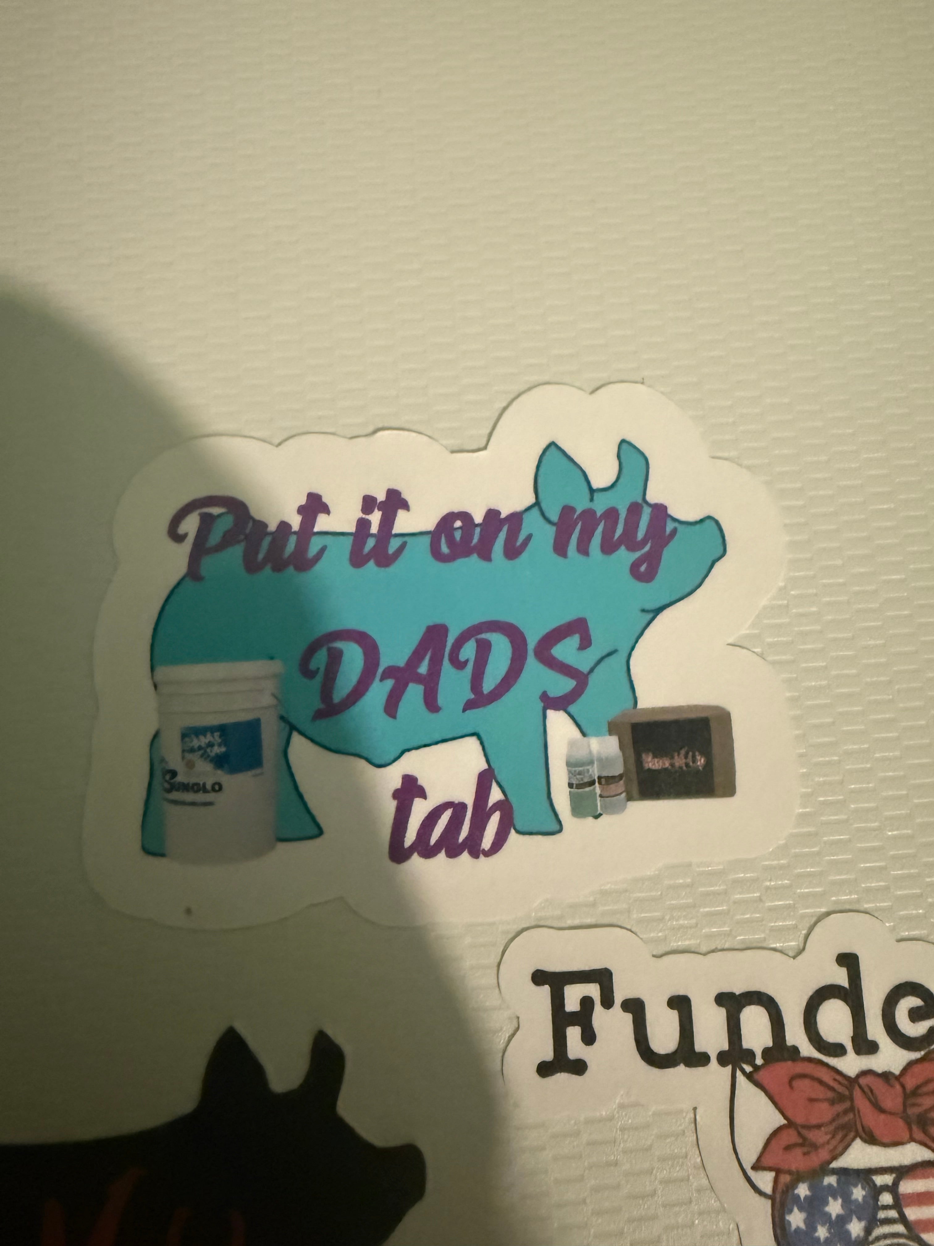 Random Assorted sticker pack