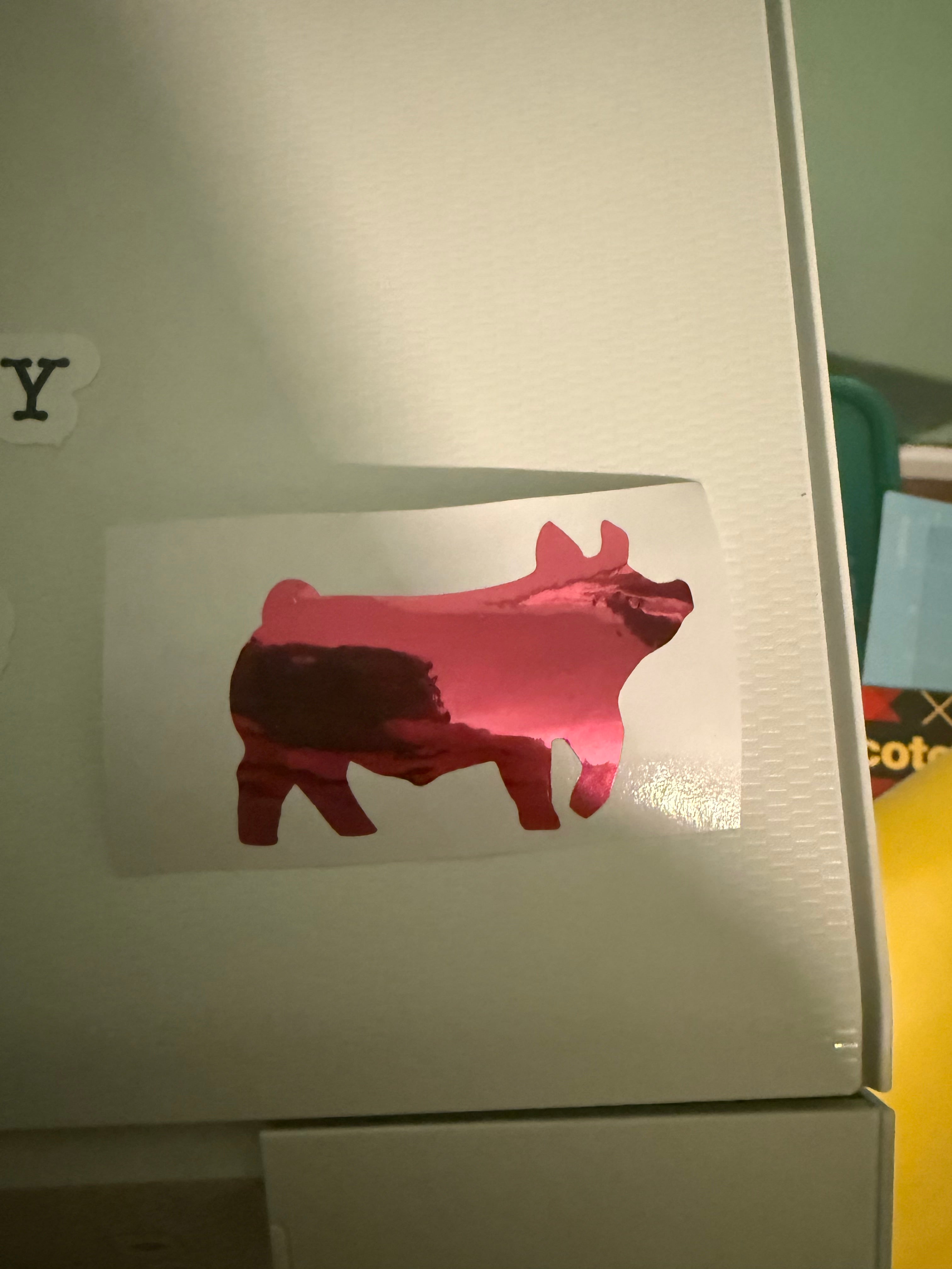 Random Assorted sticker pack