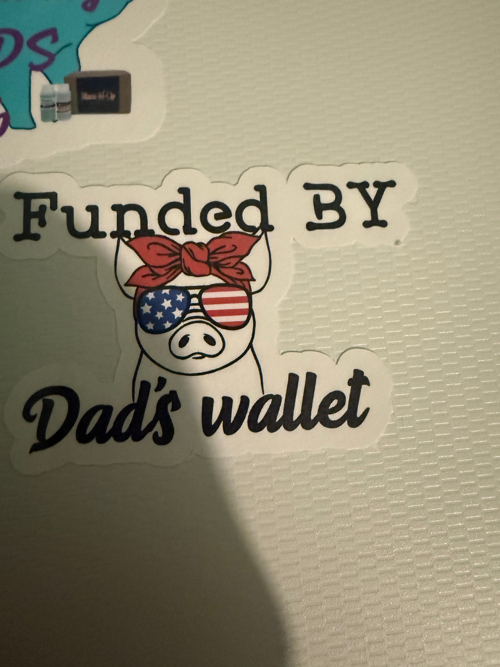 Random Assorted sticker pack