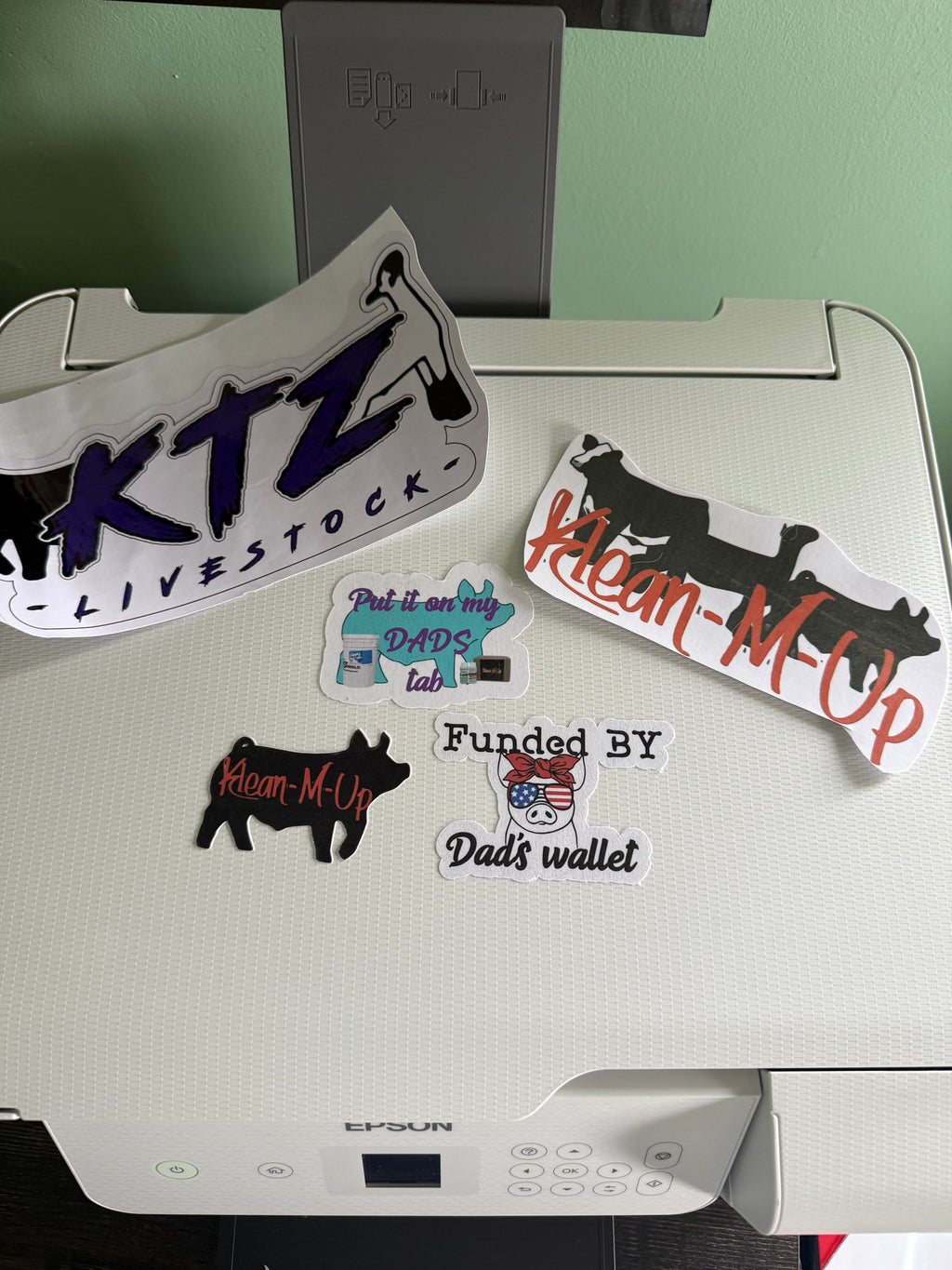 Random Assorted sticker pack